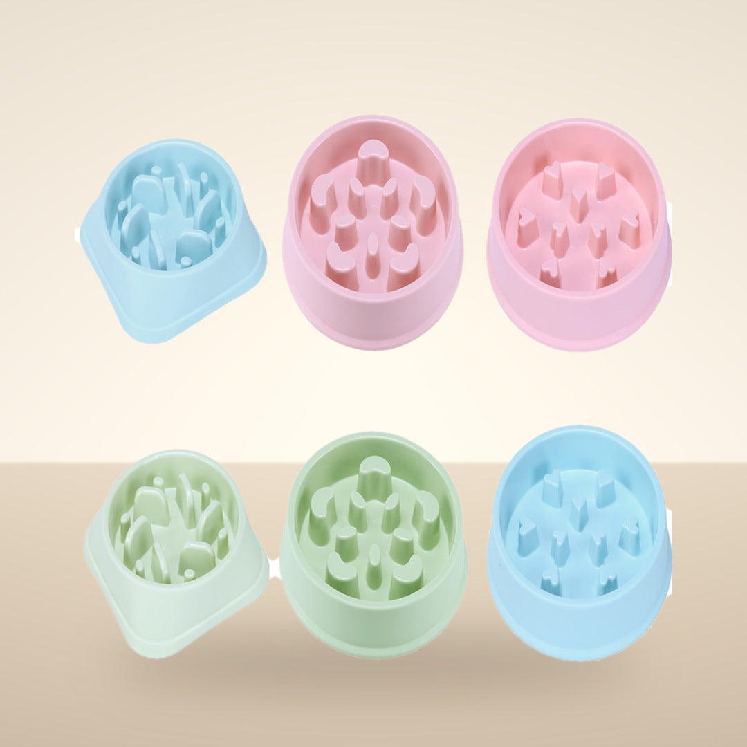 Maze Slow Feeder Bowl for Dogs & Cats