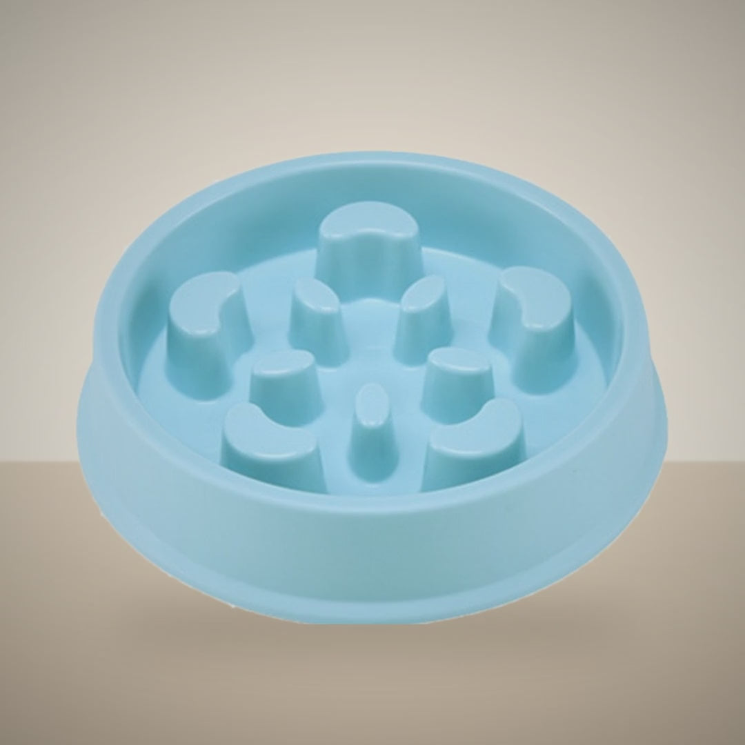 Maze Slow Feeder Bowl for Dogs & Cats